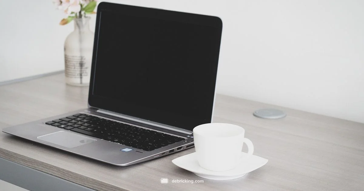 Router Firmware Essentials - Debricking