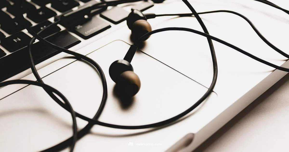 Nova Pro Firmware Update - Debricking