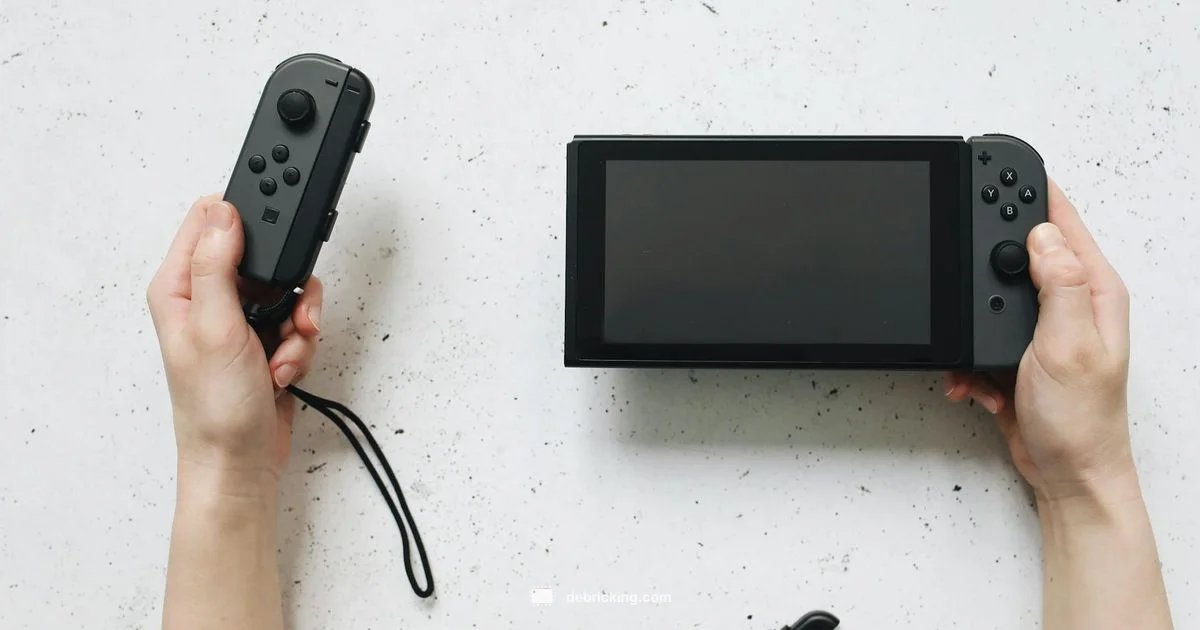 Firmware to Ryujinx Guide - Debricking