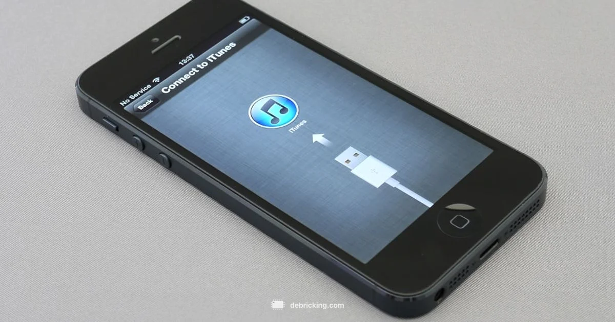 IPSW Essentials - Debricking