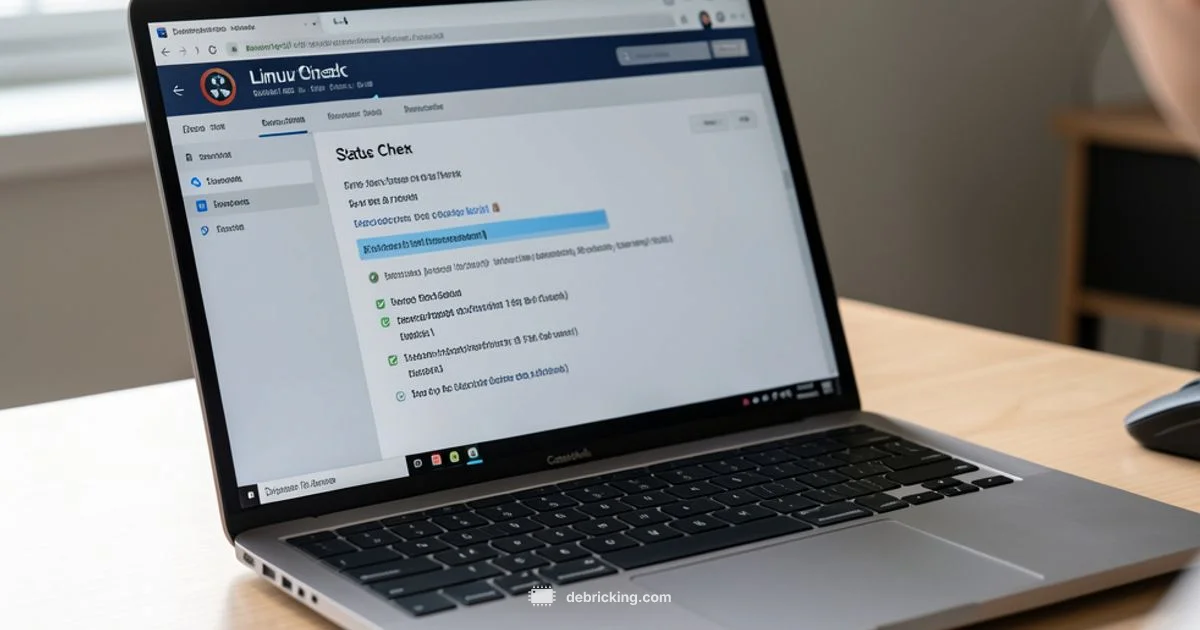 Firmware Status Check - Debricking