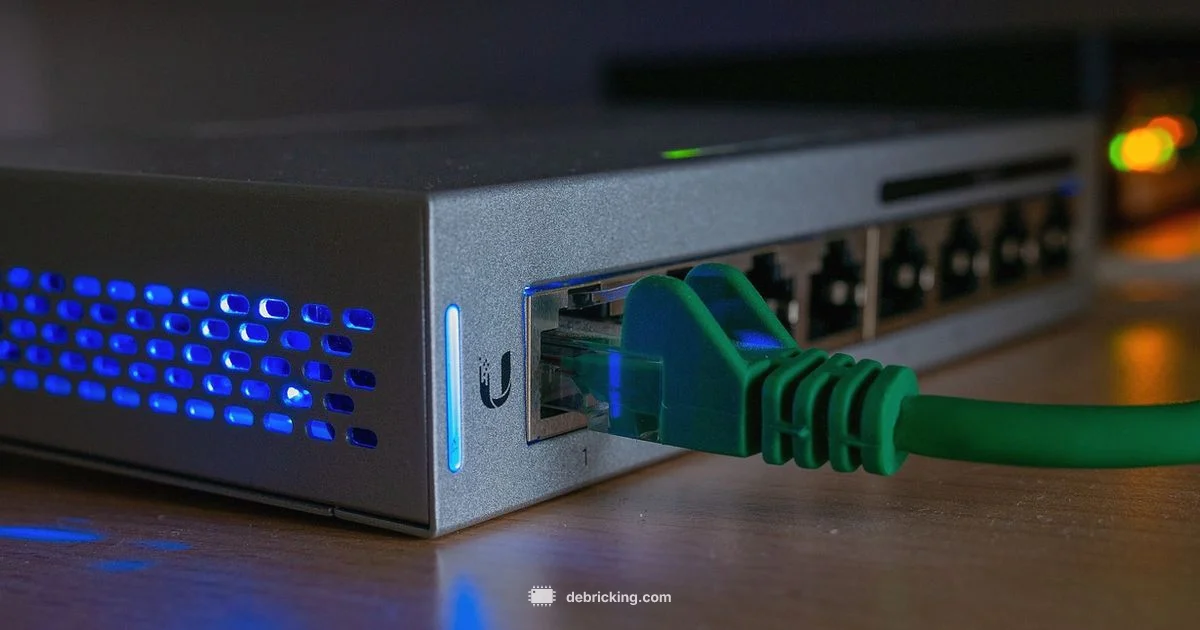 Firmware Upgrade Guide - Debricking