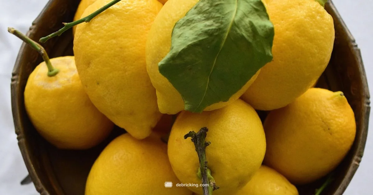 Citron Firmware Update - Debricking