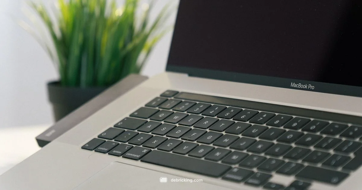 RS700 Firmware Update - Debricking