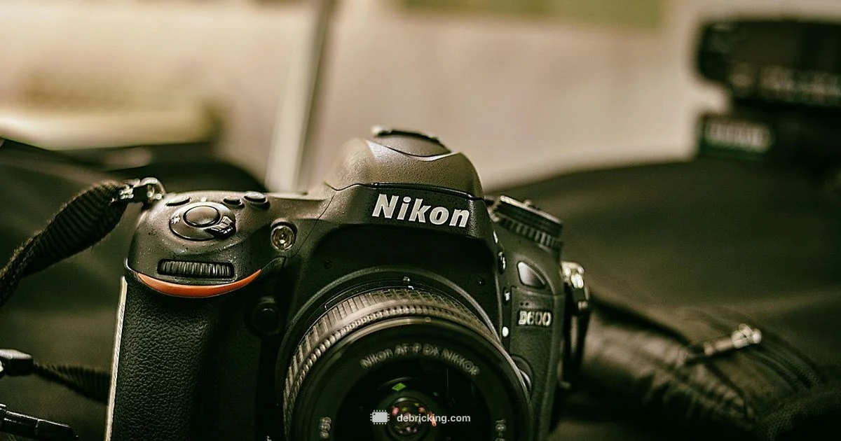 Nikon ZF Firmware Update - Debricking
