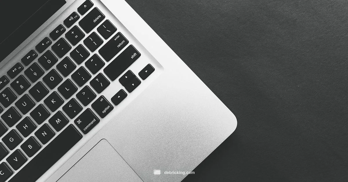 Flash Firmware Guide - Debricking