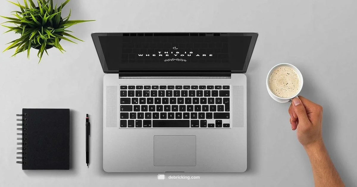 Printer Firmware Update - Debricking