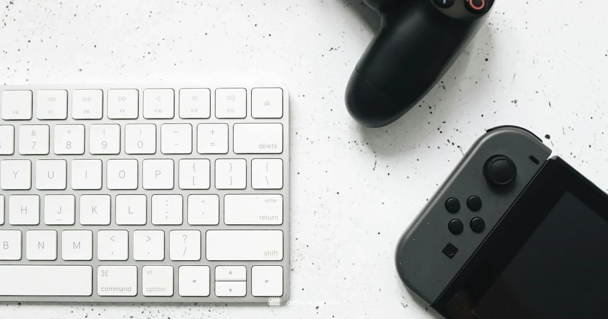 Firmware Update - Debricking