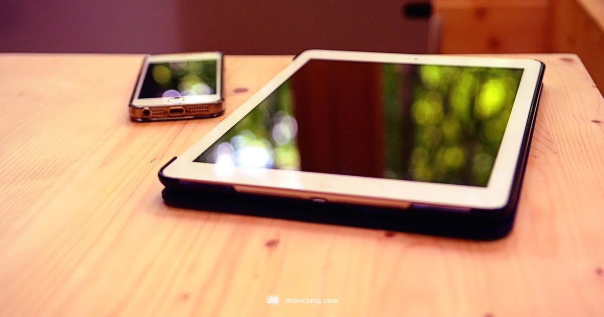 IPSW Firmware Guide - Debricking