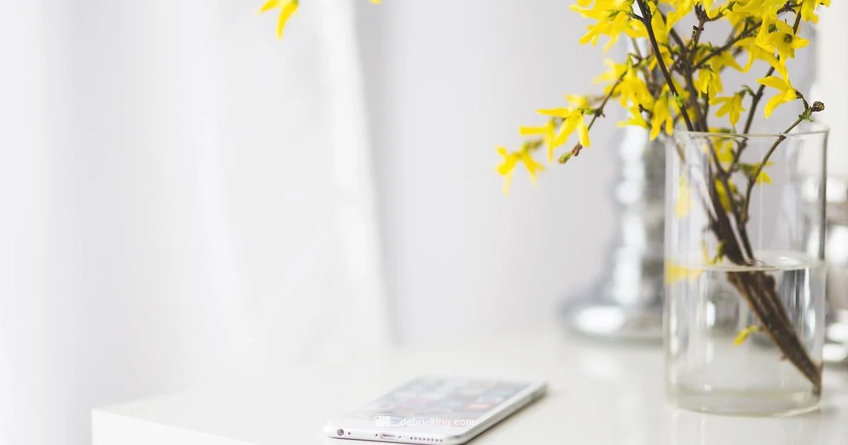 IPSW Safety Guide - Debricking