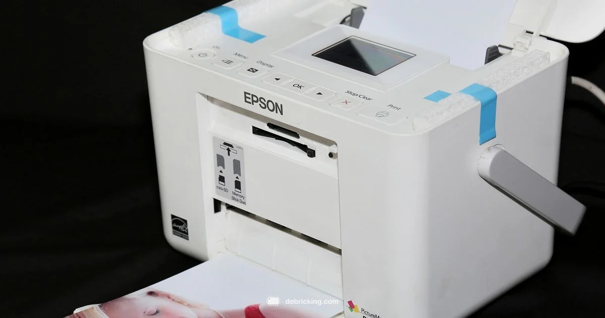 Epson Firmware Downgrade - Debricking
