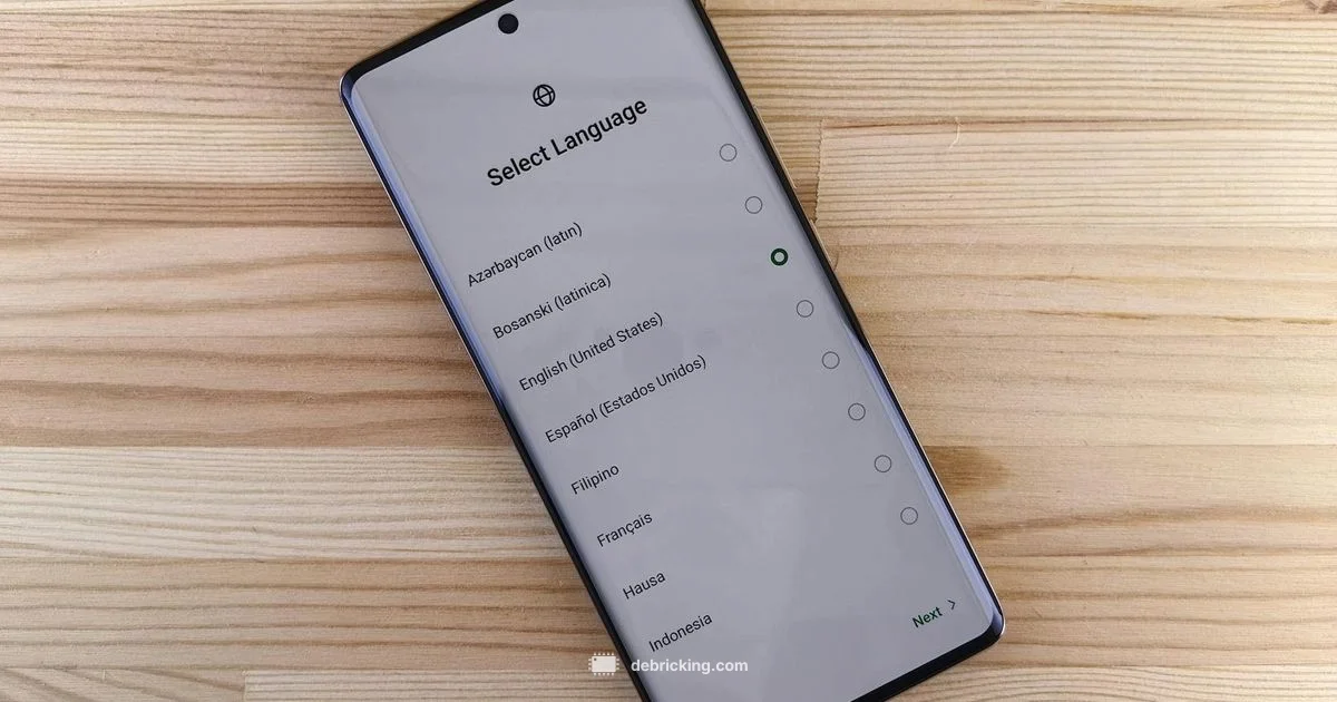 Firmware Español Guía - Debricking