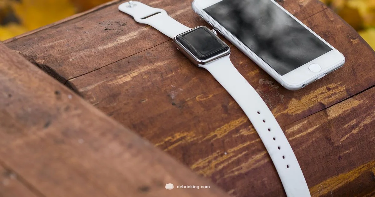 Update Fitbit Firmware - Debricking