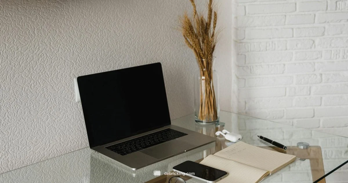 RS700 Firmware Update - Debricking