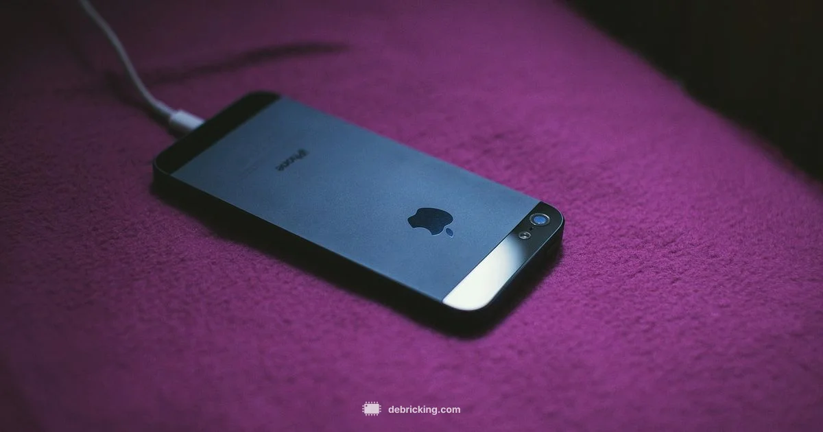 iPhone Firmware Update - Debricking