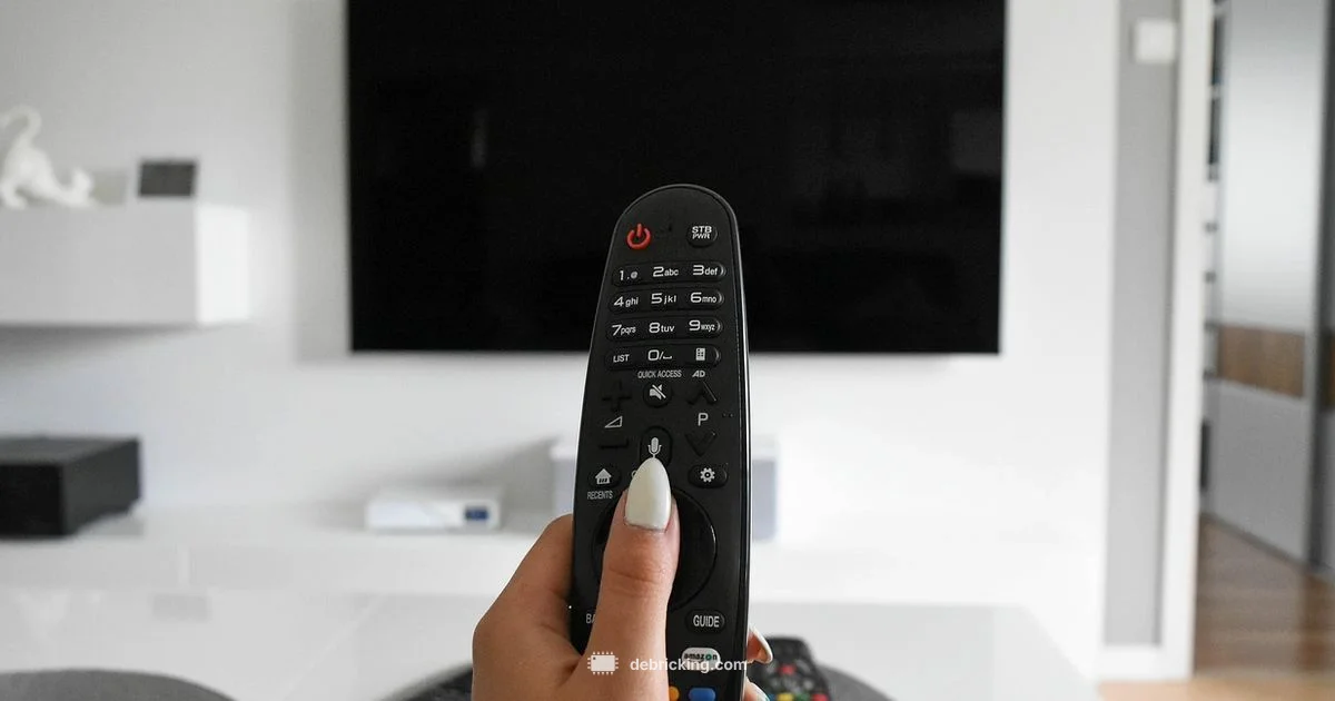 Samsung TV Firmware Guide - Debricking
