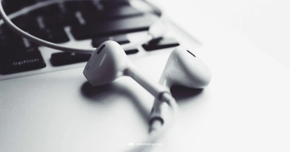 Beats Firmware Update - Debricking