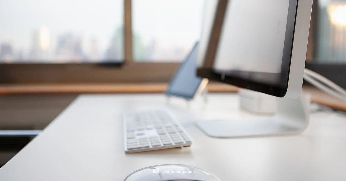 Firmware Update - Debricking