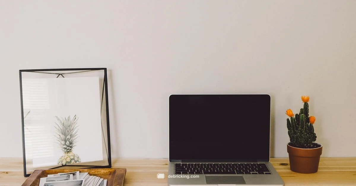 Firmware Update Guide - Debricking