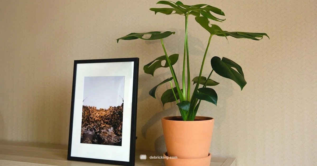 Firmware Update - Debricking