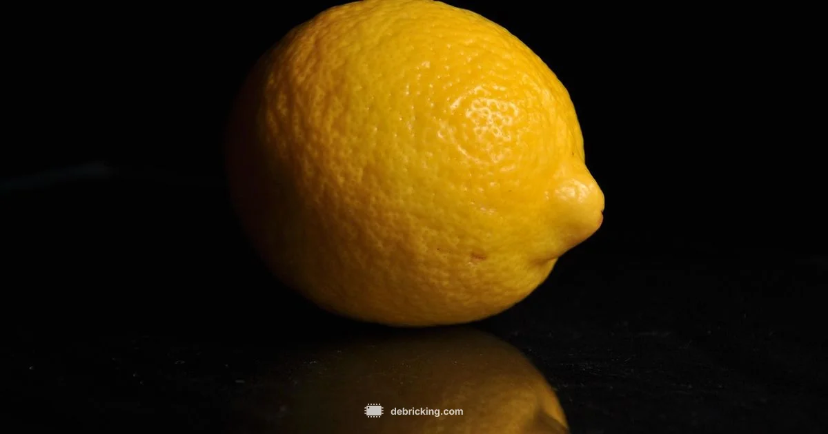 Citron Firmware Guide - Debricking