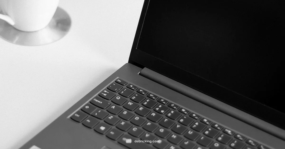 Firmware on PC Guide - Debricking