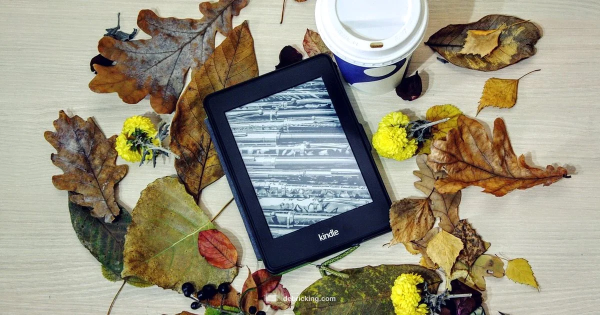 Firmware Update - Debricking