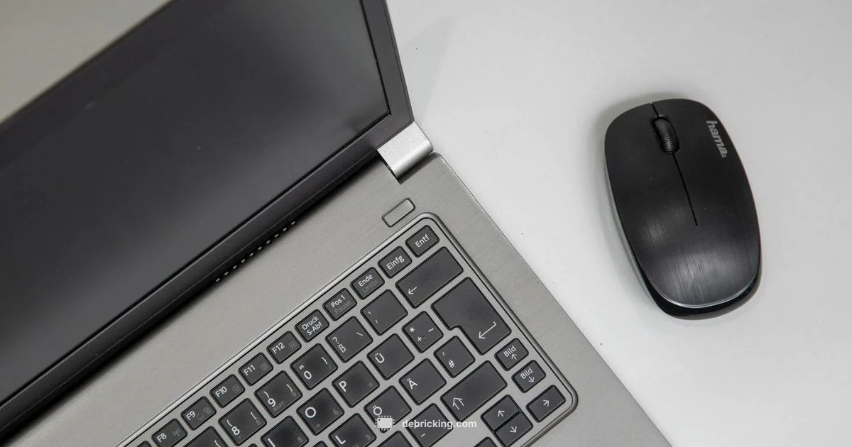 Firmware Update Guide - Debricking