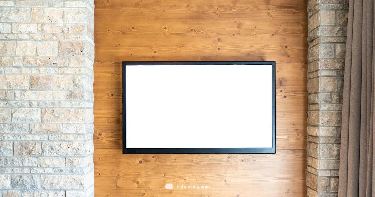 Samsung TV Firmware Update - Debricking