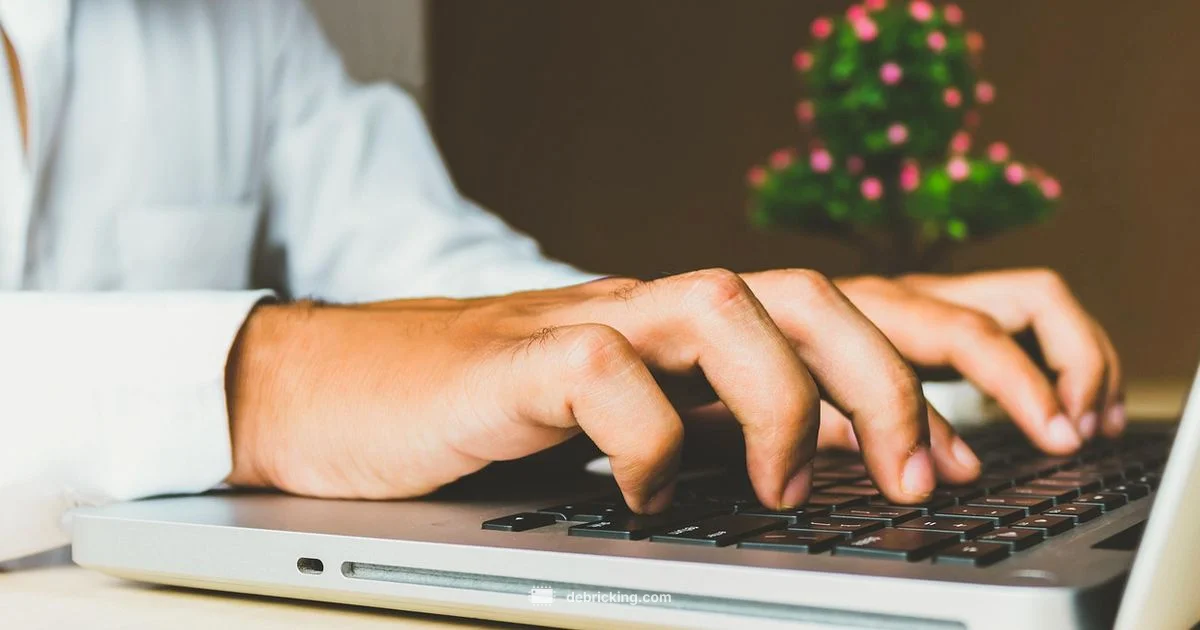 Firmware vs Software - Debricking