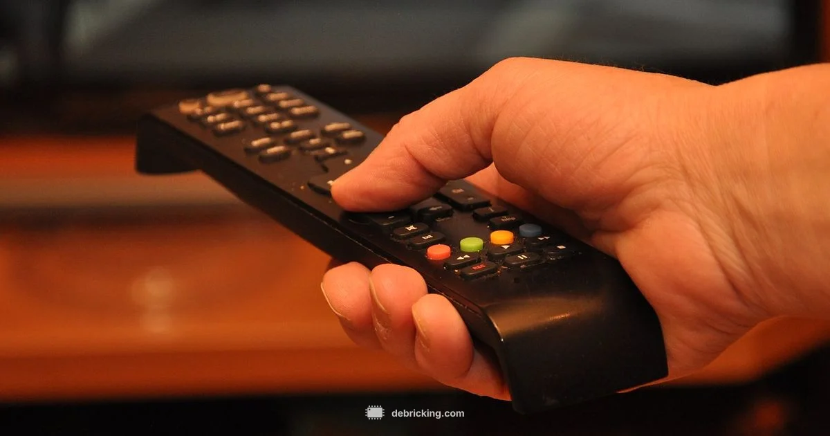 Insignia Firmware Update - Debricking