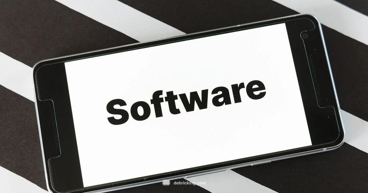 Firmware vs Software Firmware vs Software - Debricking