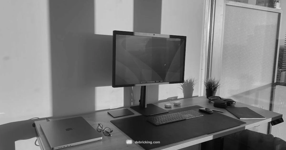 Update Monitor Firmware - Debricking