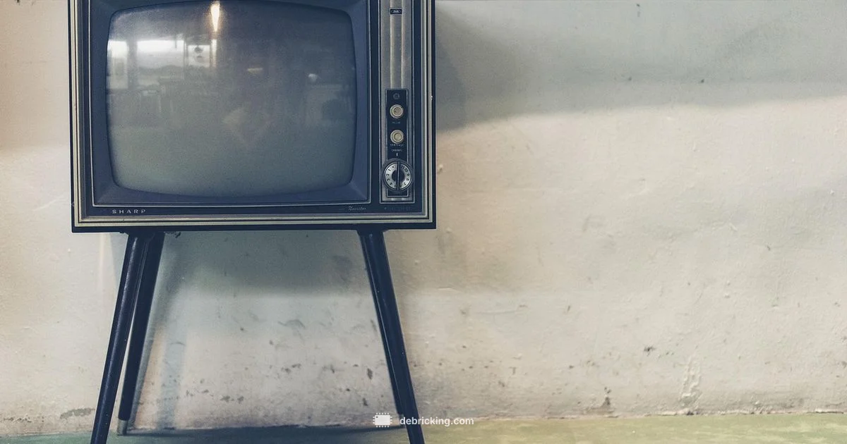 LG TV Firmware Update - Debricking