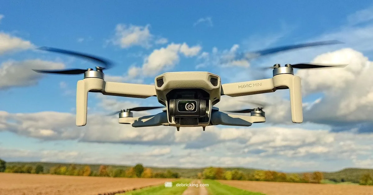 DJI Mini 4 Pro Firmware Update - Debricking