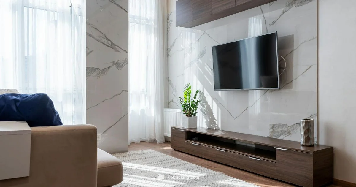 Latest Vizio Update - Debricking