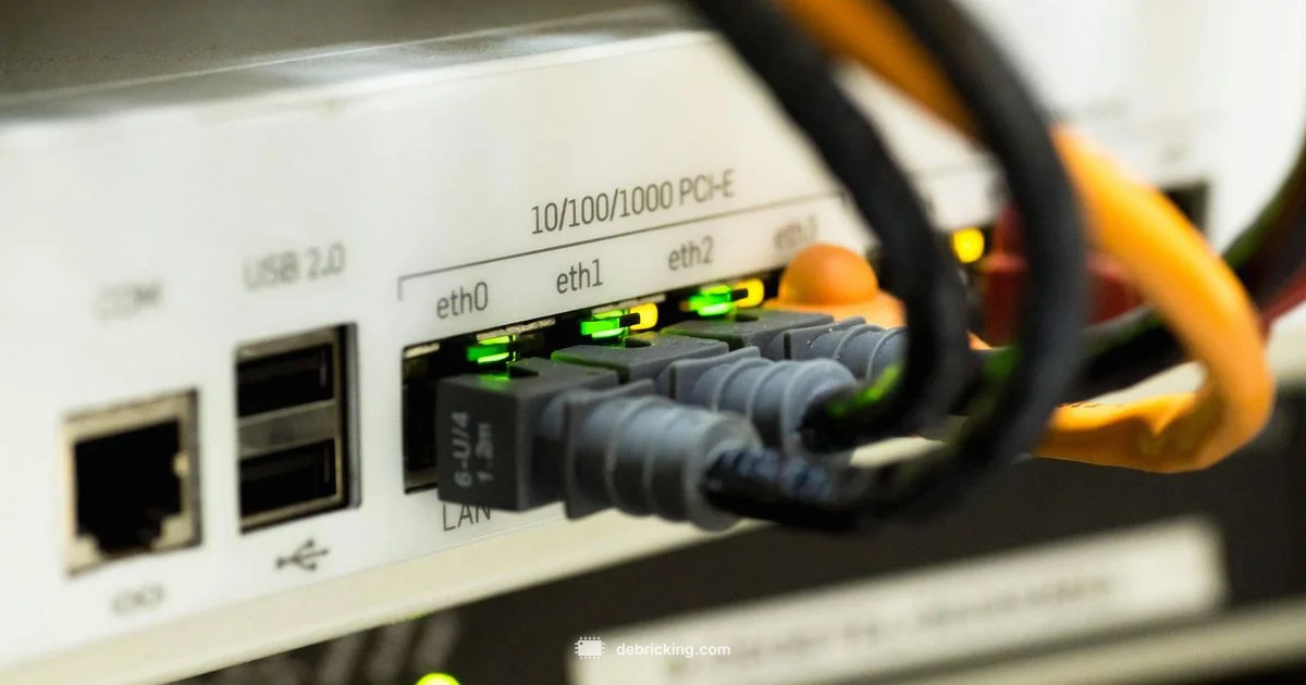 Firmware Virus Cleanup - Debricking